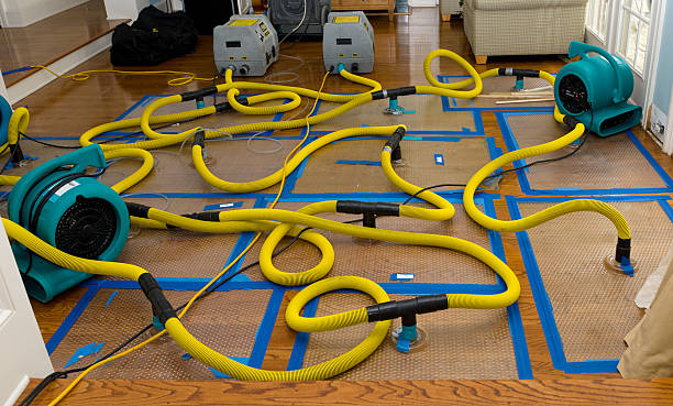 Professional Crawl Space Water Removal technician working in Haydenville, MA